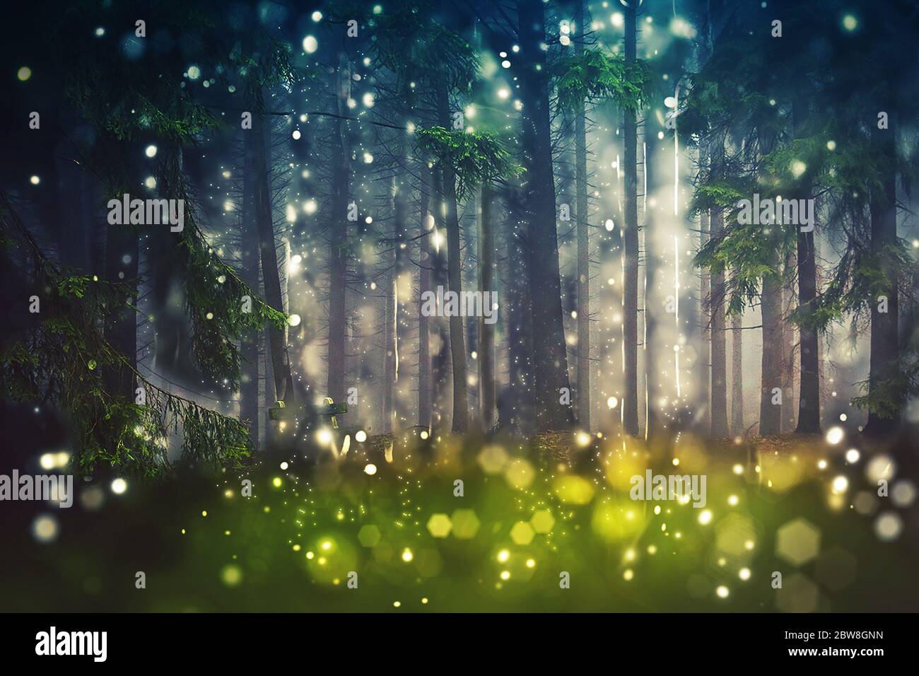 Mistico alberi di foresta, legno Glade - Bokeh lente svasa Camera Blur - Mystic legno luce solare Foto Stock