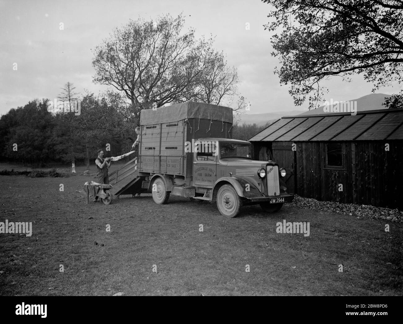 Un camion bedford utilizzato per il trasporto di animali presso la Moresdale Fur Farm in Westmoreland . 1937 . Foto Stock
