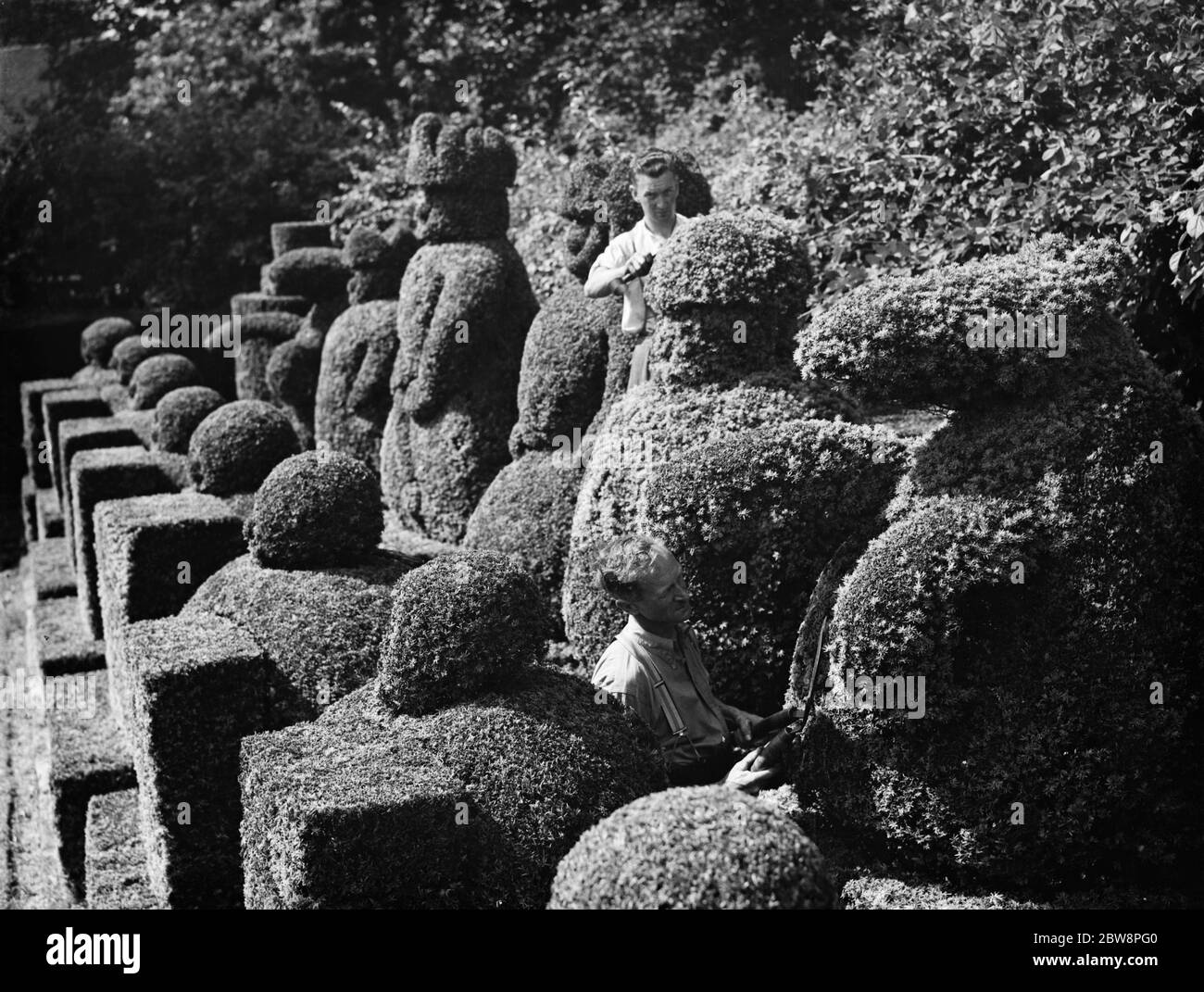 Un falciatore ritaglia le figure topiarie al Castello di Hever . 1938 Foto Stock