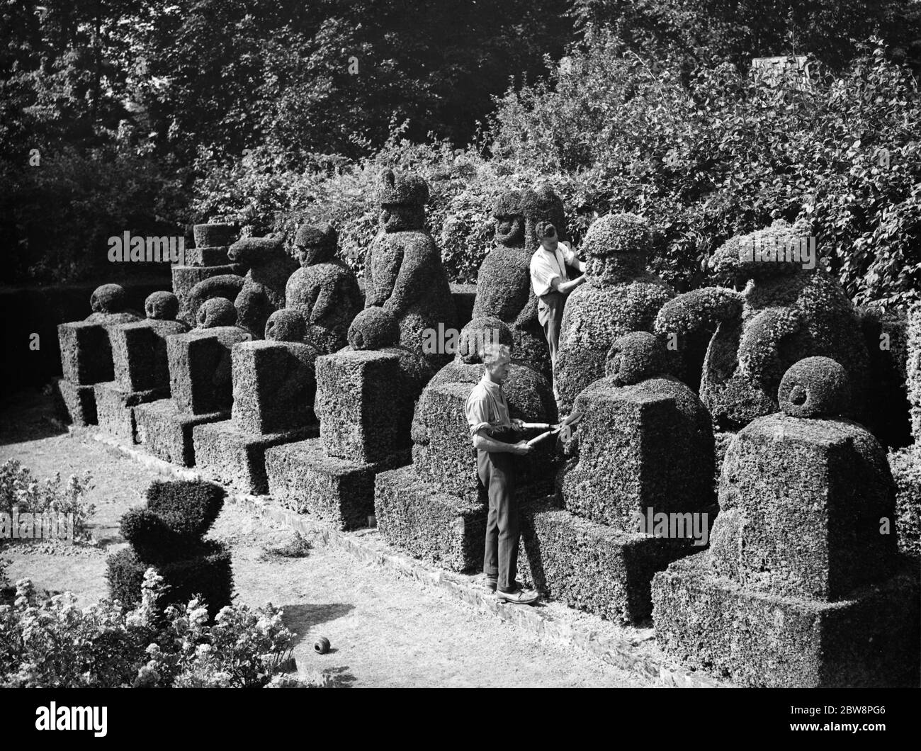 Un falciatore ritaglia le figure topiarie al Castello di Hever . 1938 Foto Stock