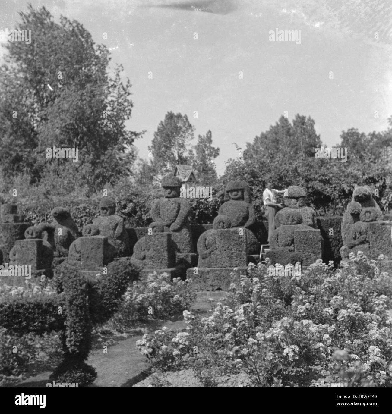 Le figure topiarie del Castello di Hever . 1938 Foto Stock