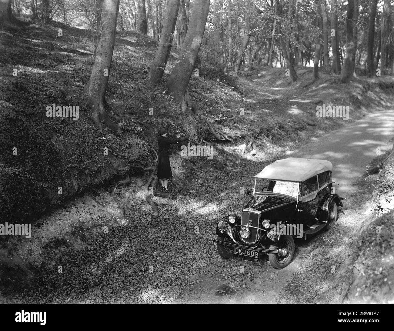 Una donna che si è presa nella pittoresca scena boschiva accanto a lui lucido parcheggiato auto sportiva . 1936 Foto Stock