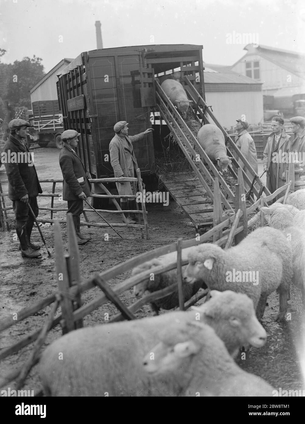 Le pecore vengono scaricate da un camion alla vendita di pecore a Maidstone, Kent . 1936 Foto Stock