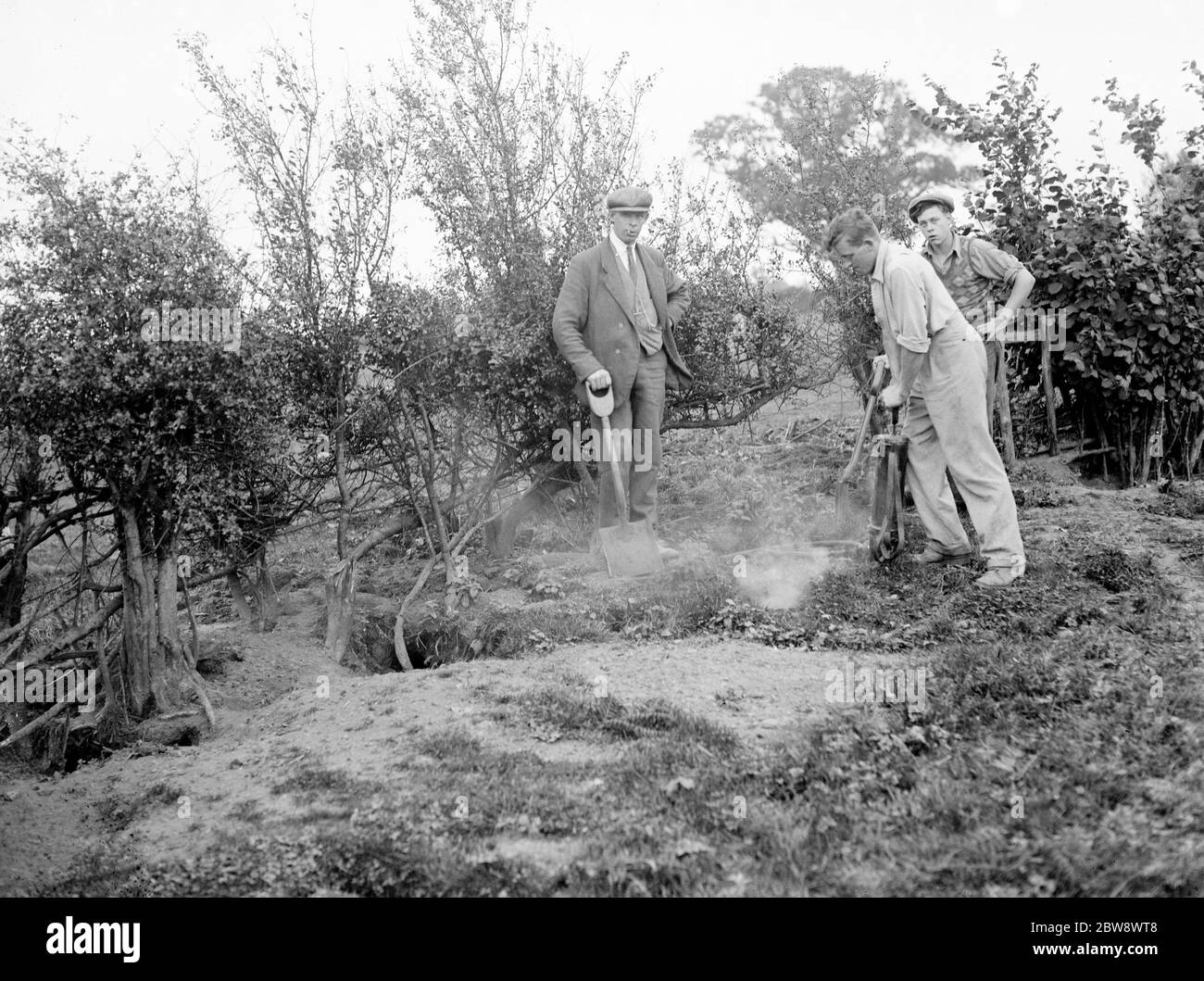 Un controllore di peste inietta Cyanogas in burrows di coniglio . 1936 Foto Stock