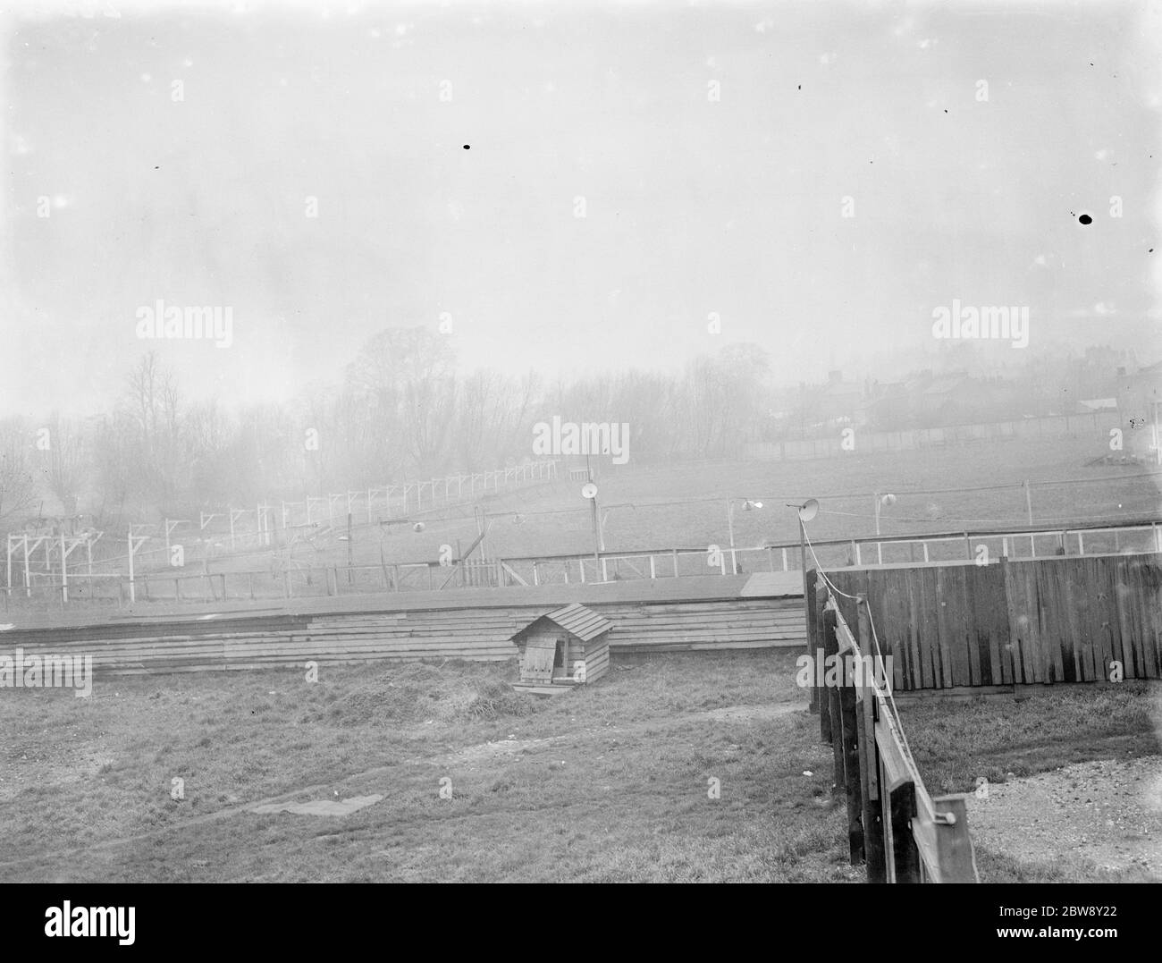 La pista del cane a Foots Cray . 1936 Foto Stock