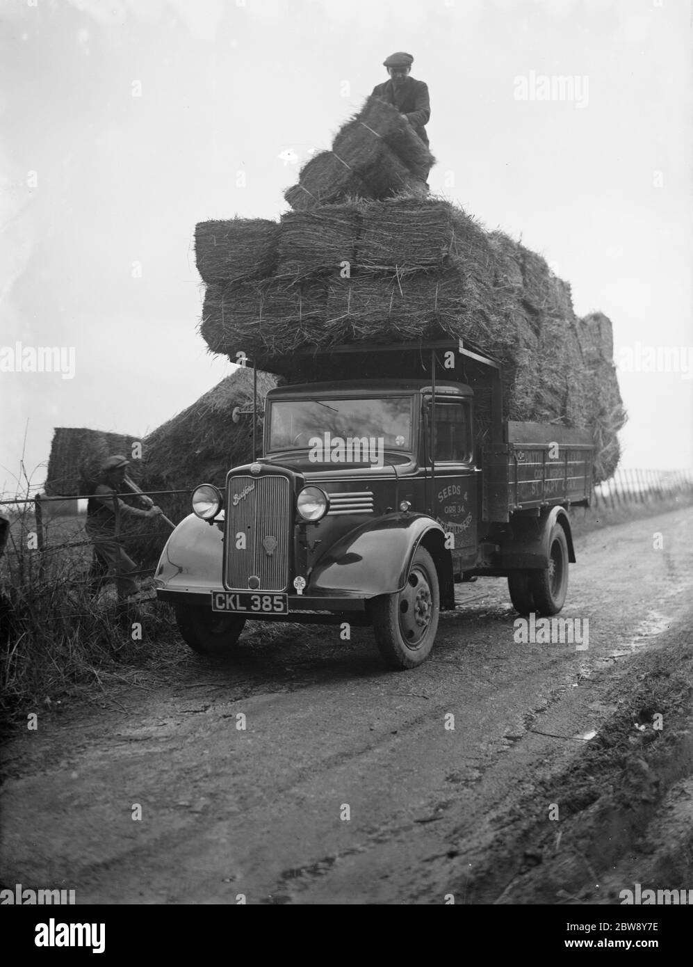 I lavoratori di Pattullo Higgs e Co Ltd caricano balle di fieno sulla loro azienda Bedford Truck a St Mary Cray, Kent . 21 febbraio 1936 . Foto Stock
