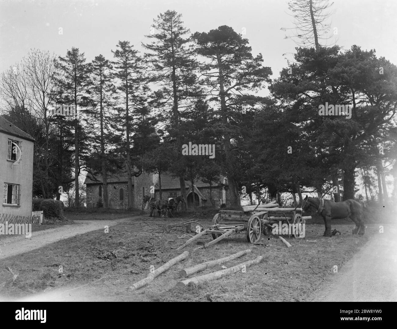 Un team di legname al lavoro intorno a Throwley Church in Kent . 1937 Foto Stock