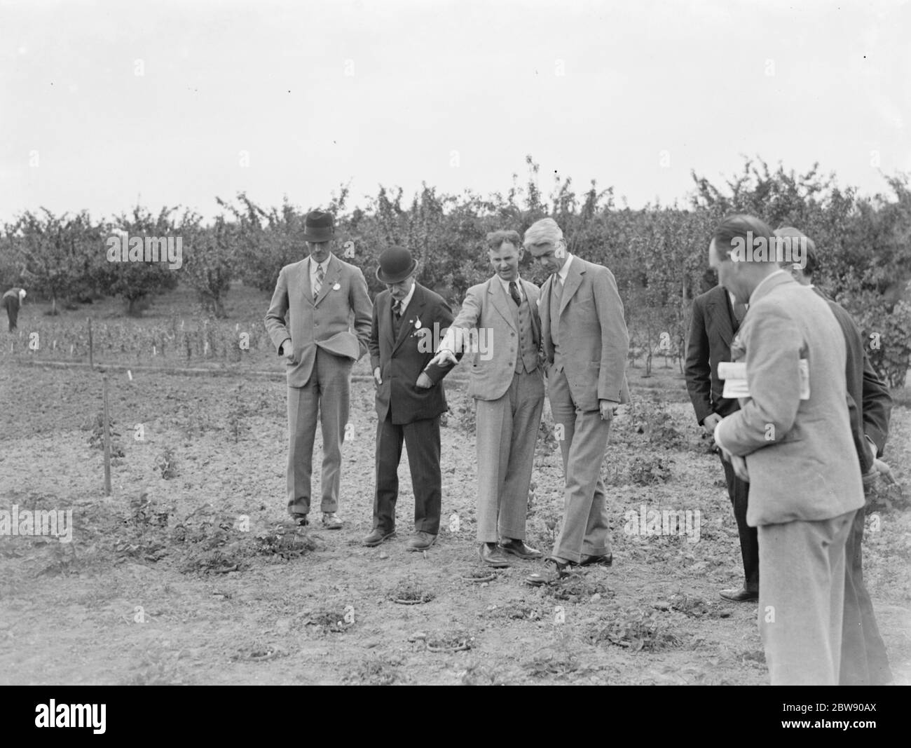 Il Ministro dell'Agricoltura , della pesca e dell'alimentazione (quarto da sinistra), di destra, William Shepherd Morrison , è in mostra intorno alla Stazione di Ricerca di East Malling a Kent . 1937 Foto Stock