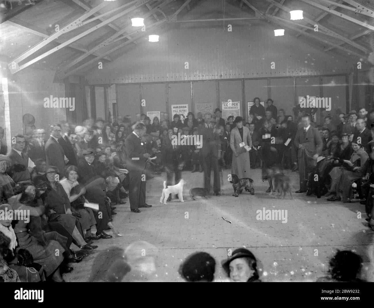 Lo spettacolo del cane Sidcup . 1936 Foto Stock