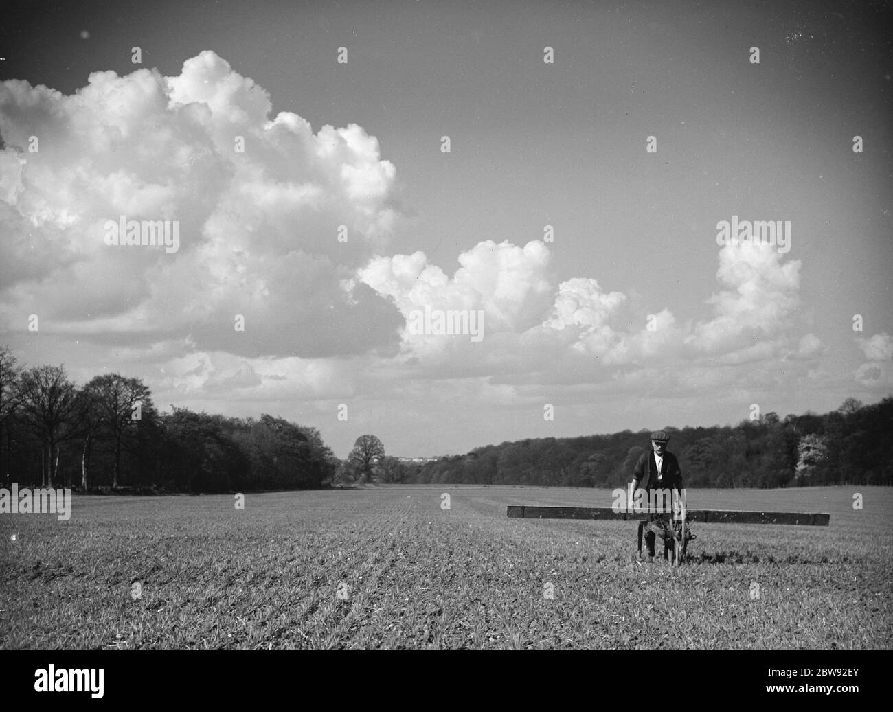 Un coltivatore che boadcasting trifogli su un campo in North Cray , Kent . 1939 Foto Stock