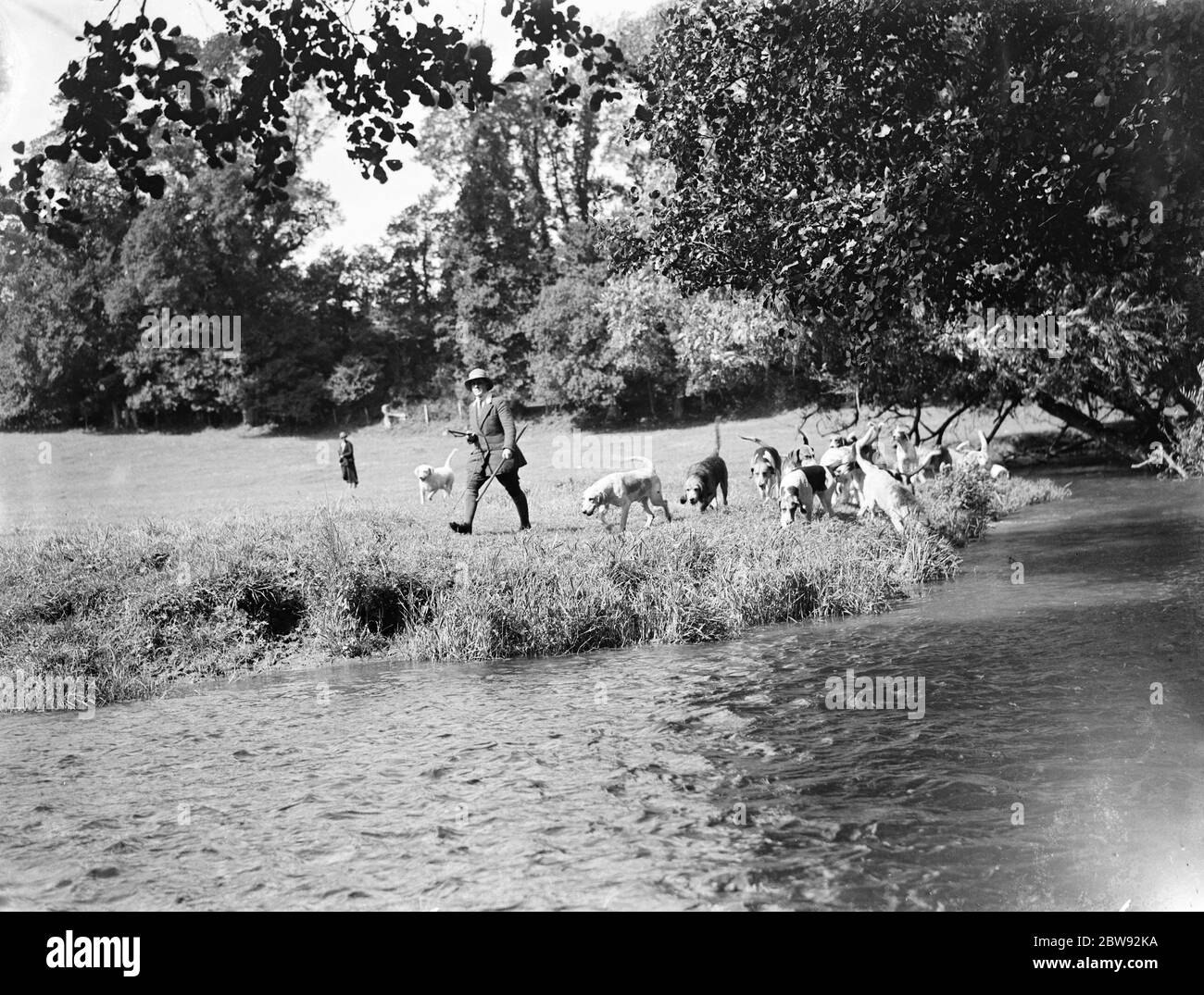 Caccia di Otter sulle rive del fiume Darent . 1939 Foto Stock