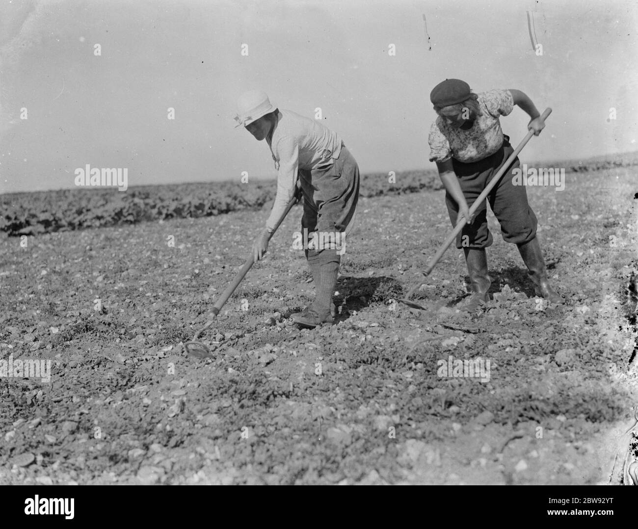 Le ragazze di terra lavorano in una fattoria a Beltring , Kent . 1939 Foto Stock