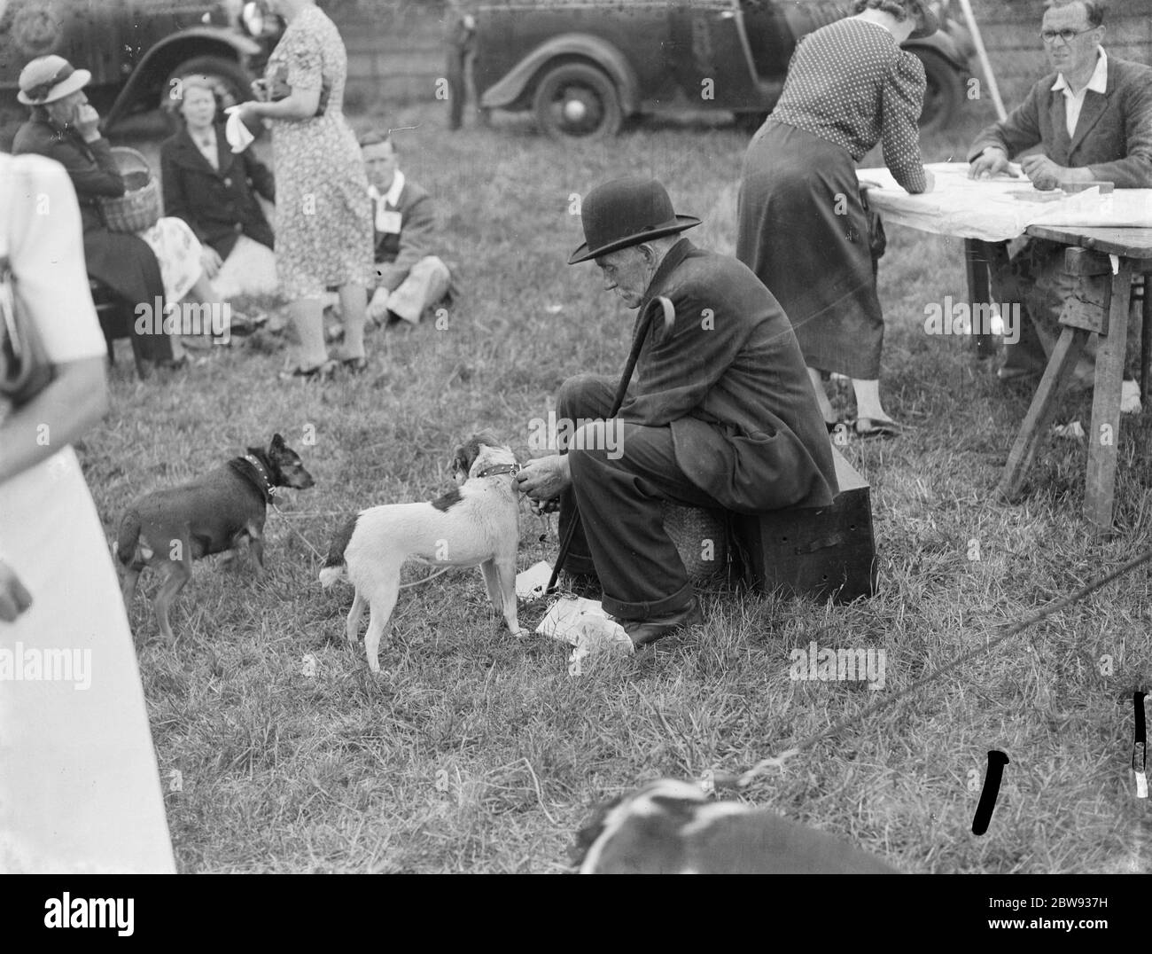 Un uomo si prepara il suo cane per lo spettacolo . 1939 Foto Stock