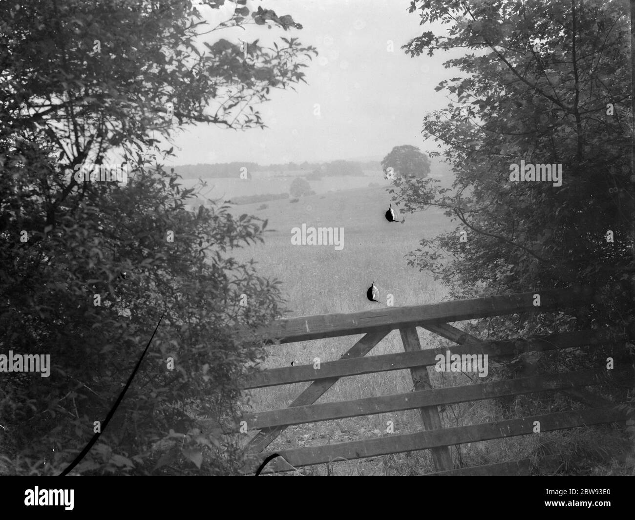 La vista da Farthing Street a Farnborough, Kent , che fa parte della cintura verde . 1939 Foto Stock