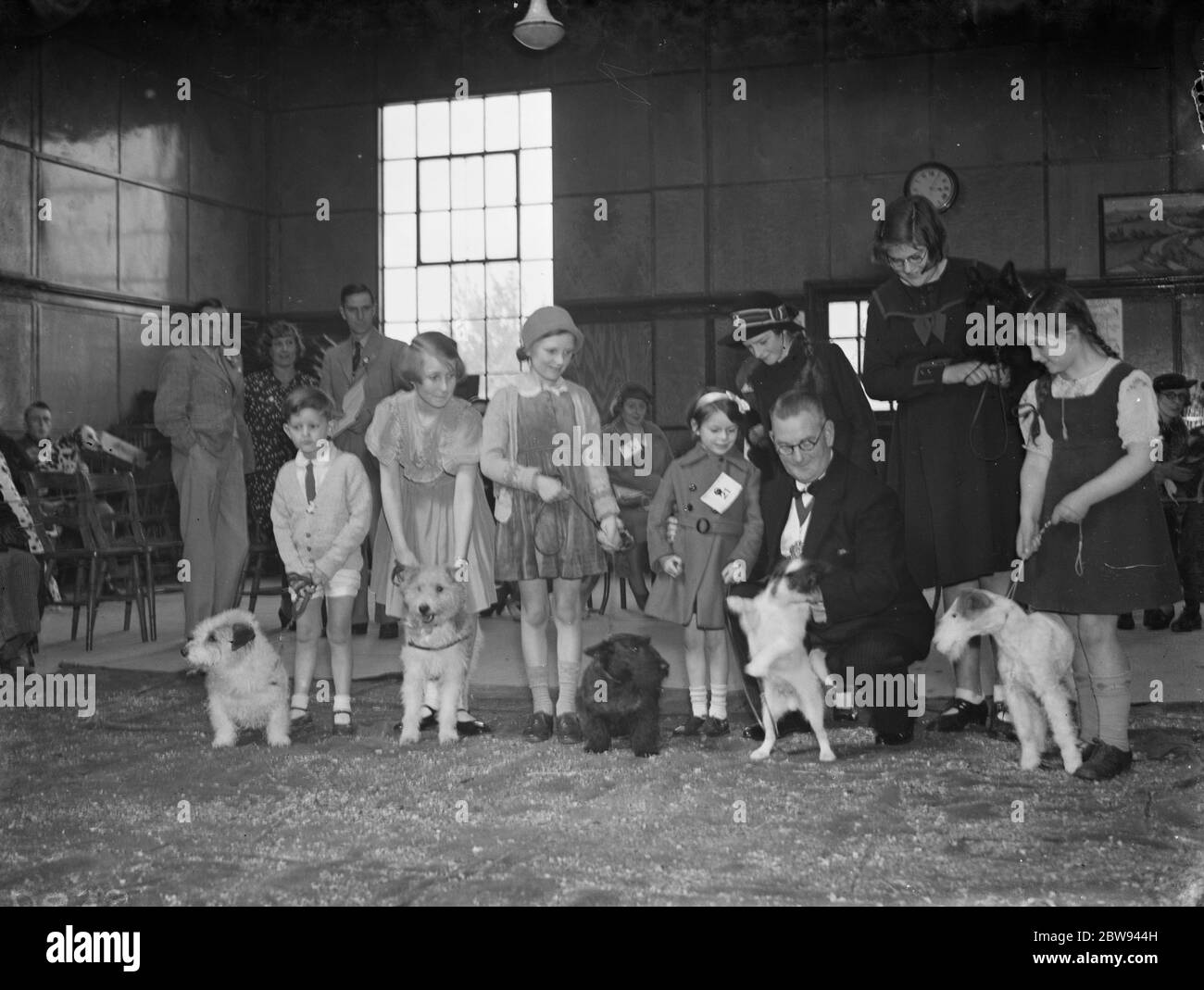 Il Sindaco di Woolwich al Dispensario del Popolo per gli animali malati (PDSA) mostra di cani a Eltham, Kent . 1938 Foto Stock