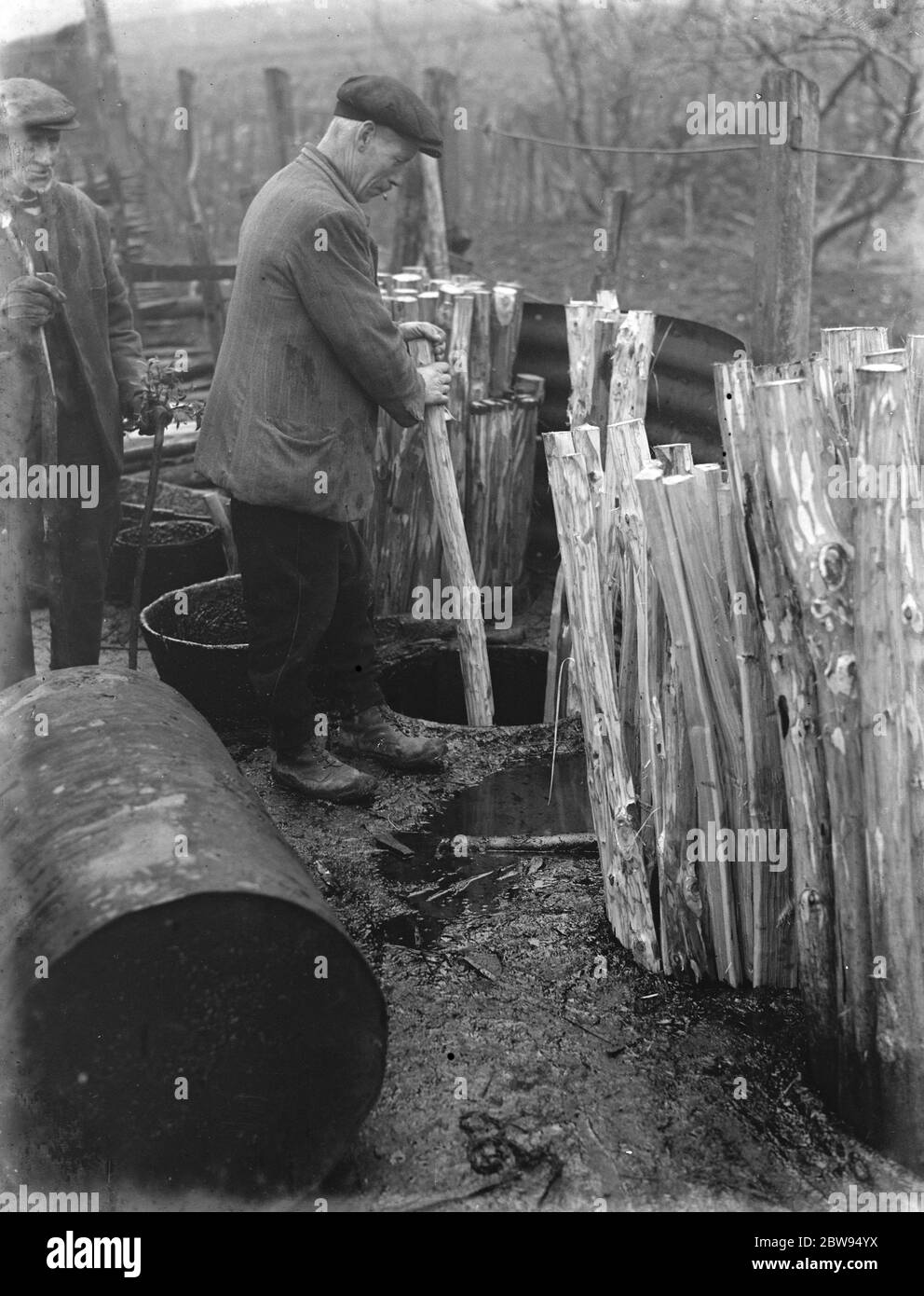 Hurdle making a Cuxton , Kent . Abbronzatura dei montanti . 1937 Foto Stock