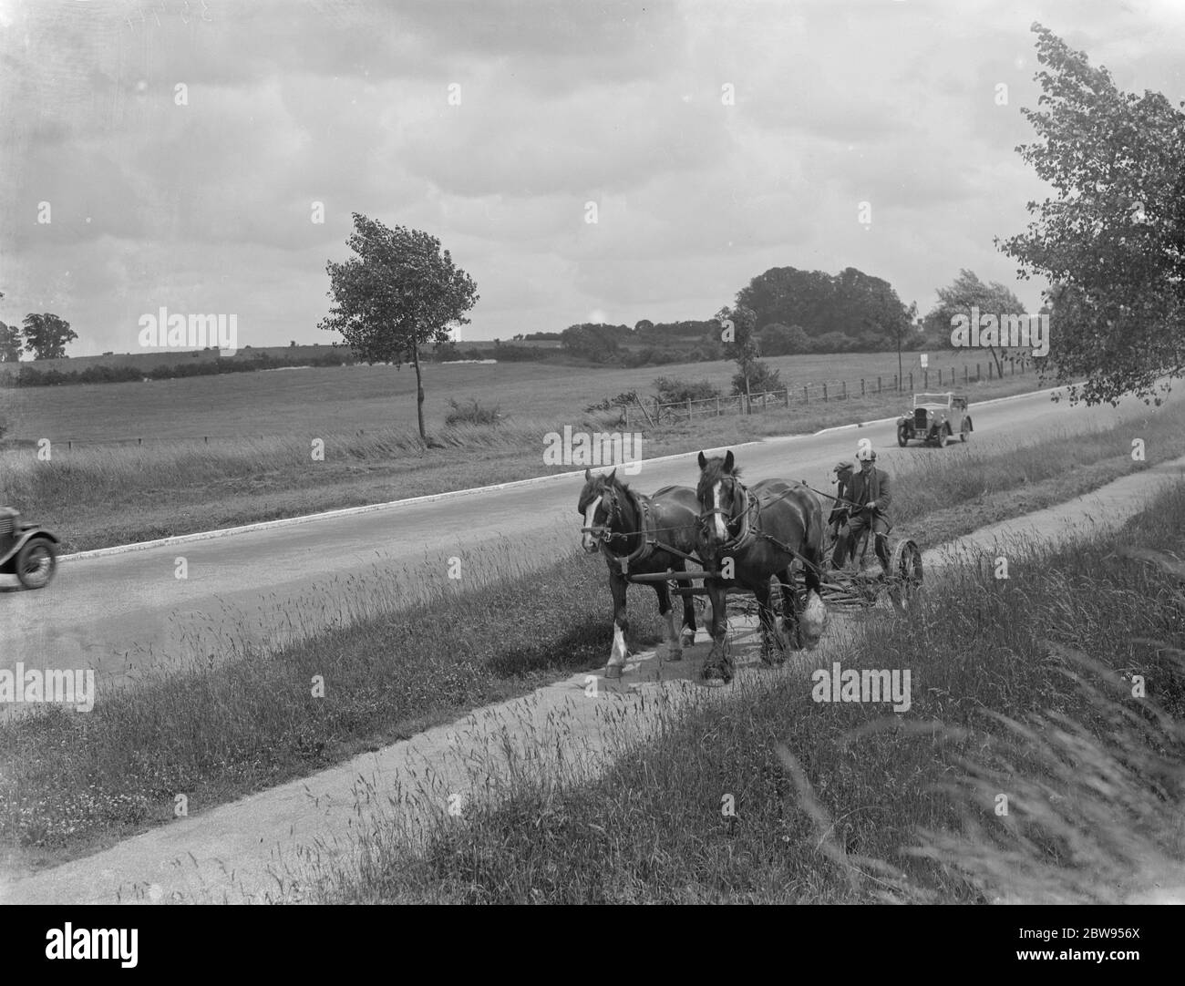 Taglio di erba a Chelsfield , Kent , usando un rasaerba trainato da cavalli . 1936 Foto Stock