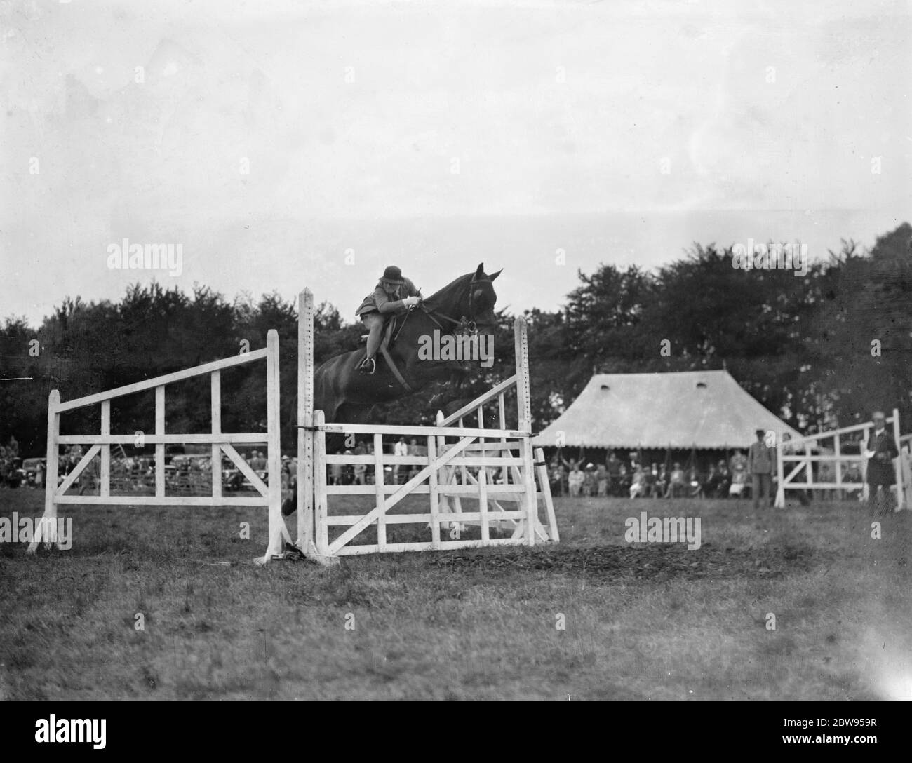 Una mostra di cavalli a Westerham , Kent . La gara di salto . 1936 Foto Stock