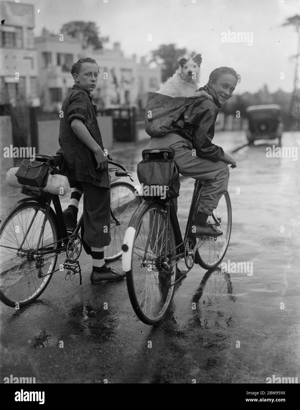 Un ragazzo che cavalcava una bicicletta con un cane sulla schiena in uno zaino . 1936 Foto Stock