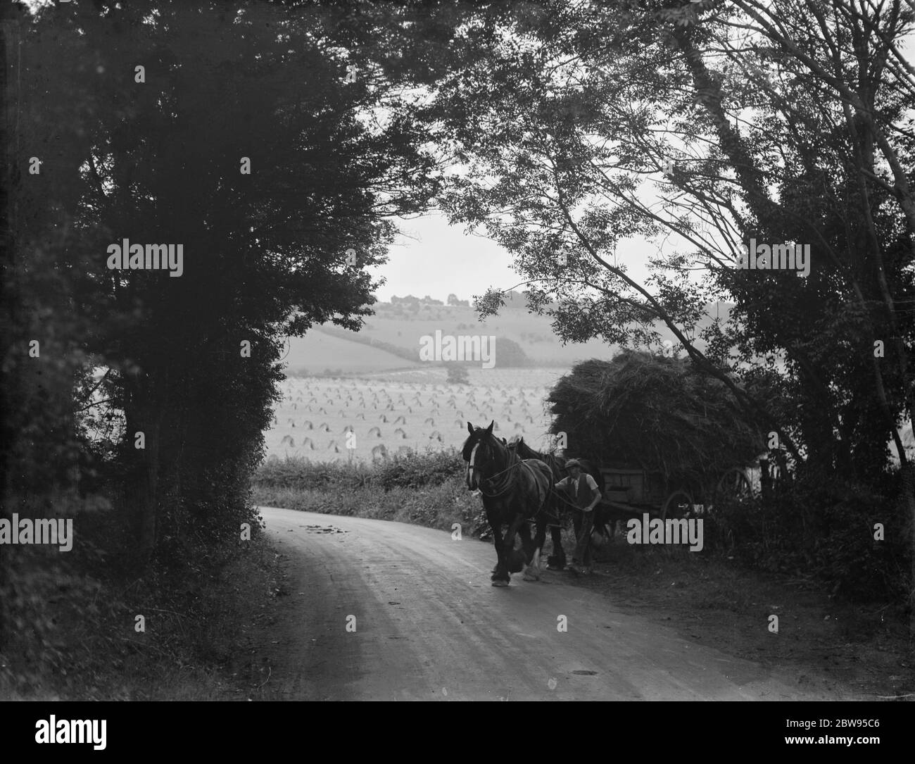 Harvest scene vicino Otford , Kent . Un contadino conduce il suo carro di cavallo e di fieno fuori da un campo . 1936 Foto Stock