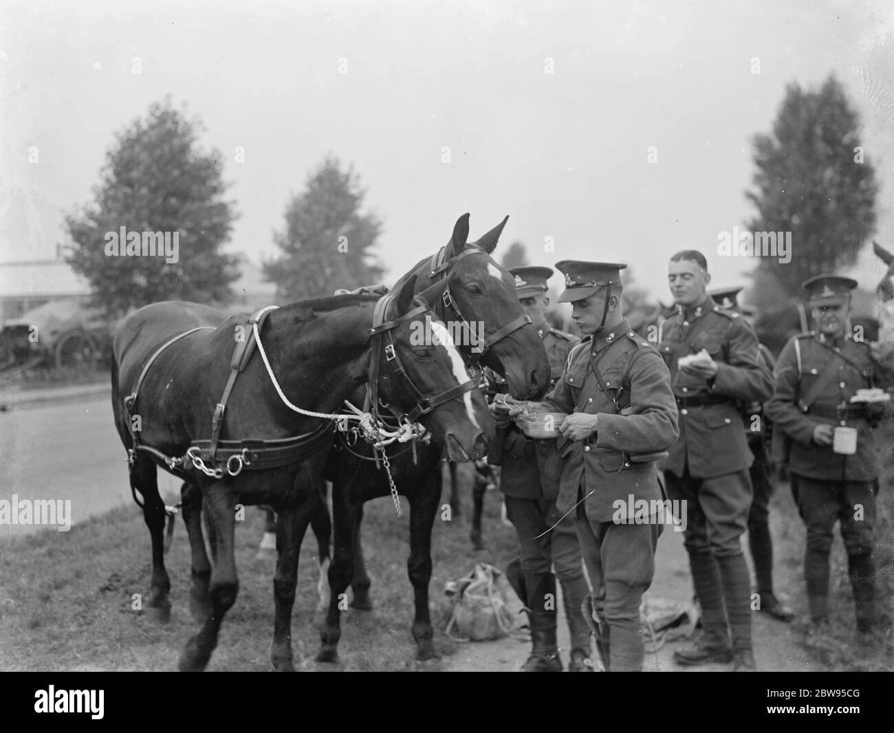Manoeuvers dell'esercito a Orpingon , Kent . Le truppe si fermano a mangiare e a nutrire i loro animali . 1936 Foto Stock