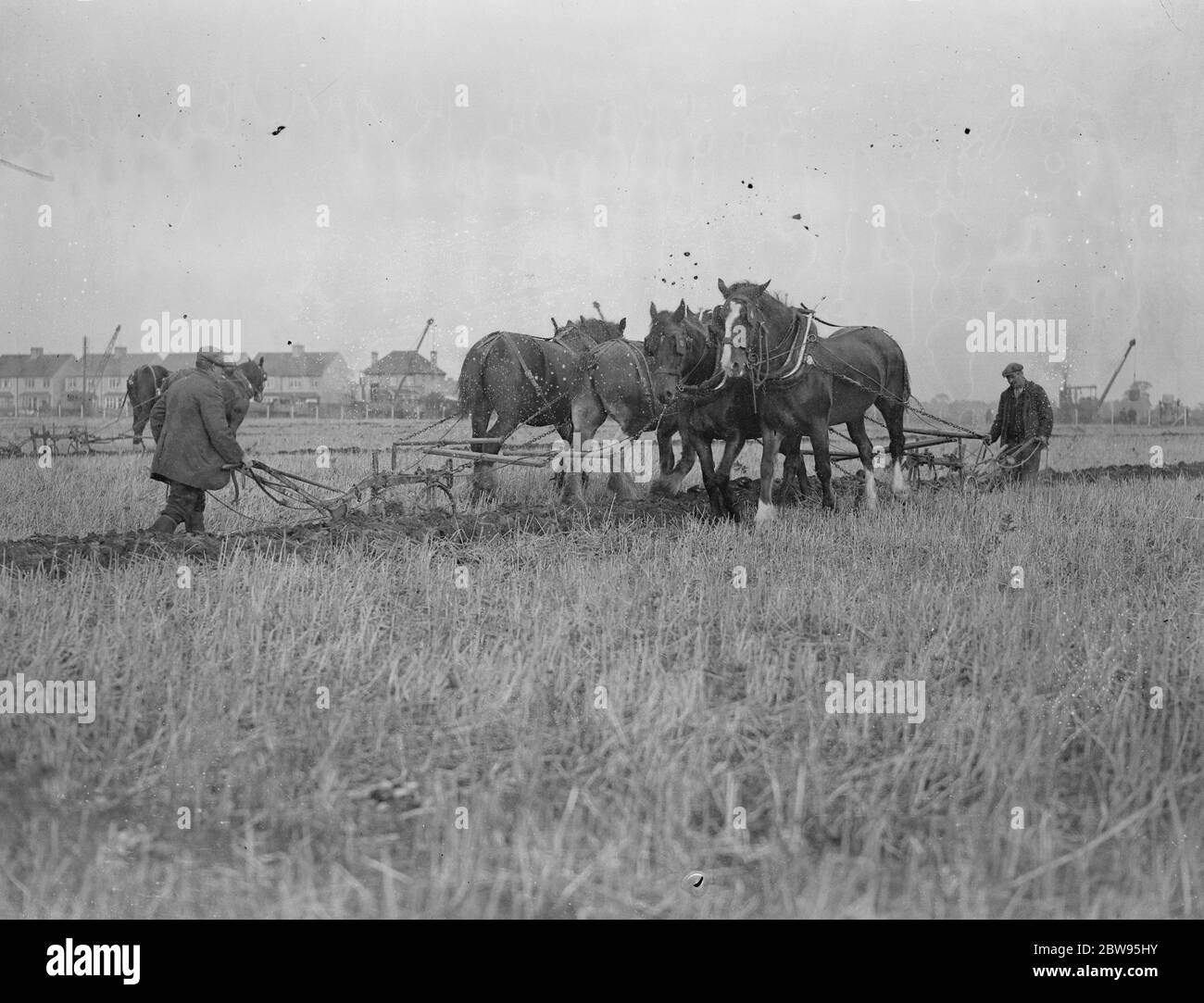 Middlesex società agricola aratura partite a Heathrow . Le partite annuali di aratura della Middlesex Agricultural Society si sono svolte a Heathrow , Middlesex . Due squadre che passavano durante le partite di Londra a Heathrow , Middlesex . 27 settembre 1932 Foto Stock