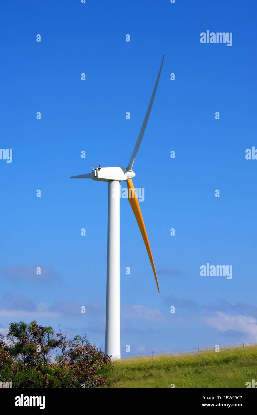 Turbine prende i venti commerciali sulla costa della Big Island delle Hawaii. Le lame enormi catturano il vento e lo trasformano in energia. Foto Stock