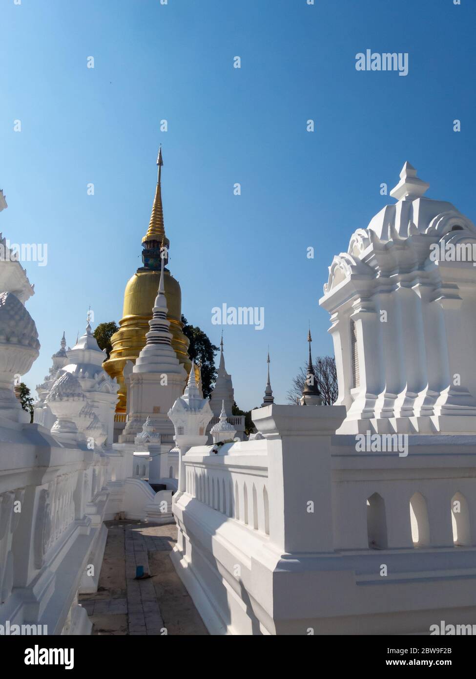 Wat Suan Dok tempio nel B.E.2450, principessa Dara Rasami, graciously felice di raccogliere le ossa del capo Chiang mai e parenti riuniti a t Foto Stock