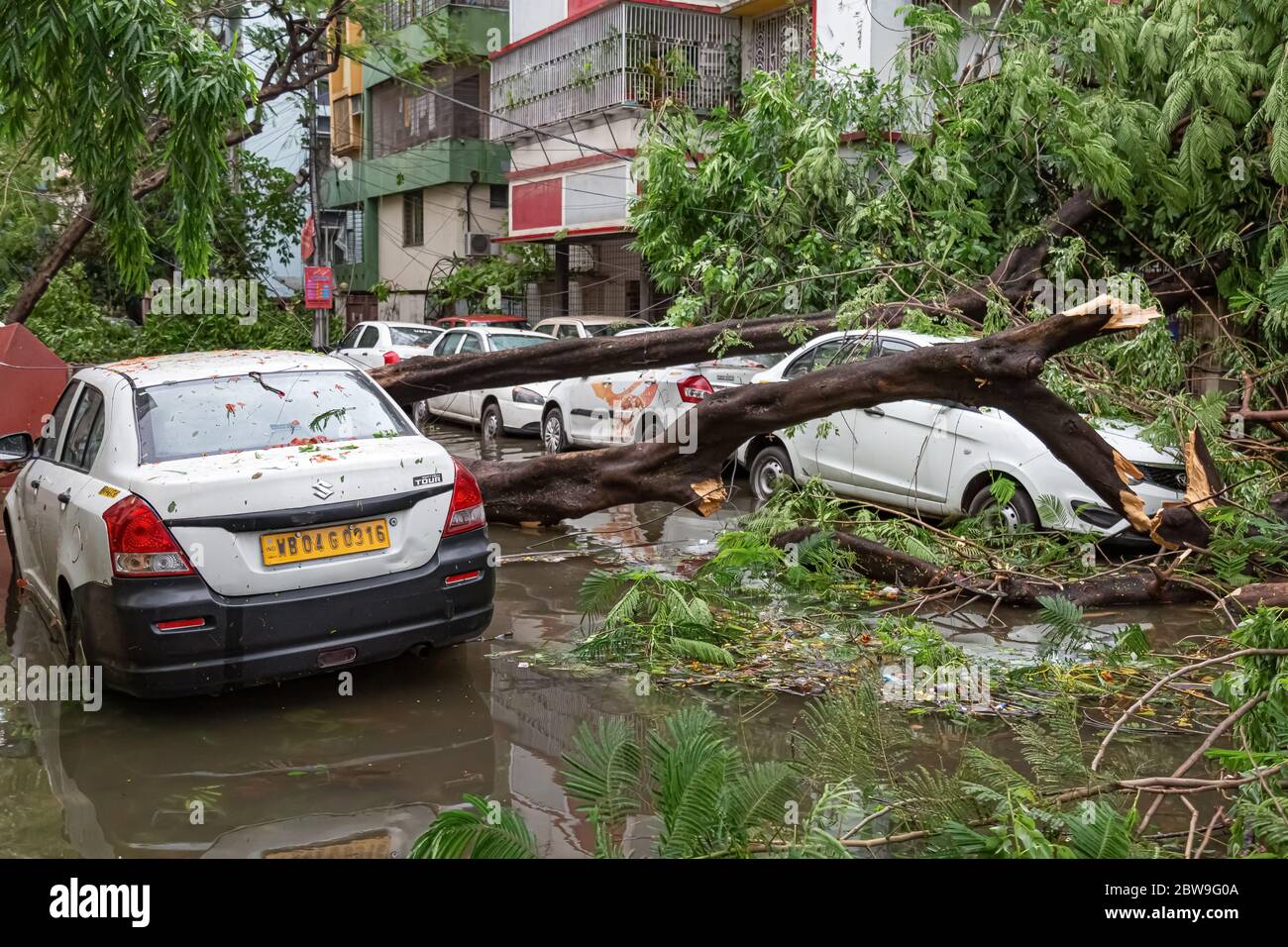 Grave tempesta ciclonica 'Amphan' danni e distruzione con tronchi di alberi sradicati su veicoli parcheggiati con strade della città allagate a Kolkata India Foto Stock