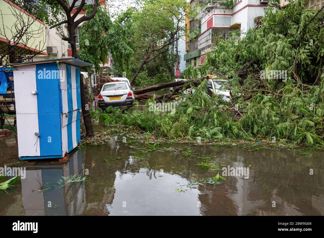 Grave tempesta ciclonica 'Amphan' danni e distruzione con tronchi di alberi sradicati su veicoli parcheggiati con strade della città allagate a Kolkata India Foto Stock