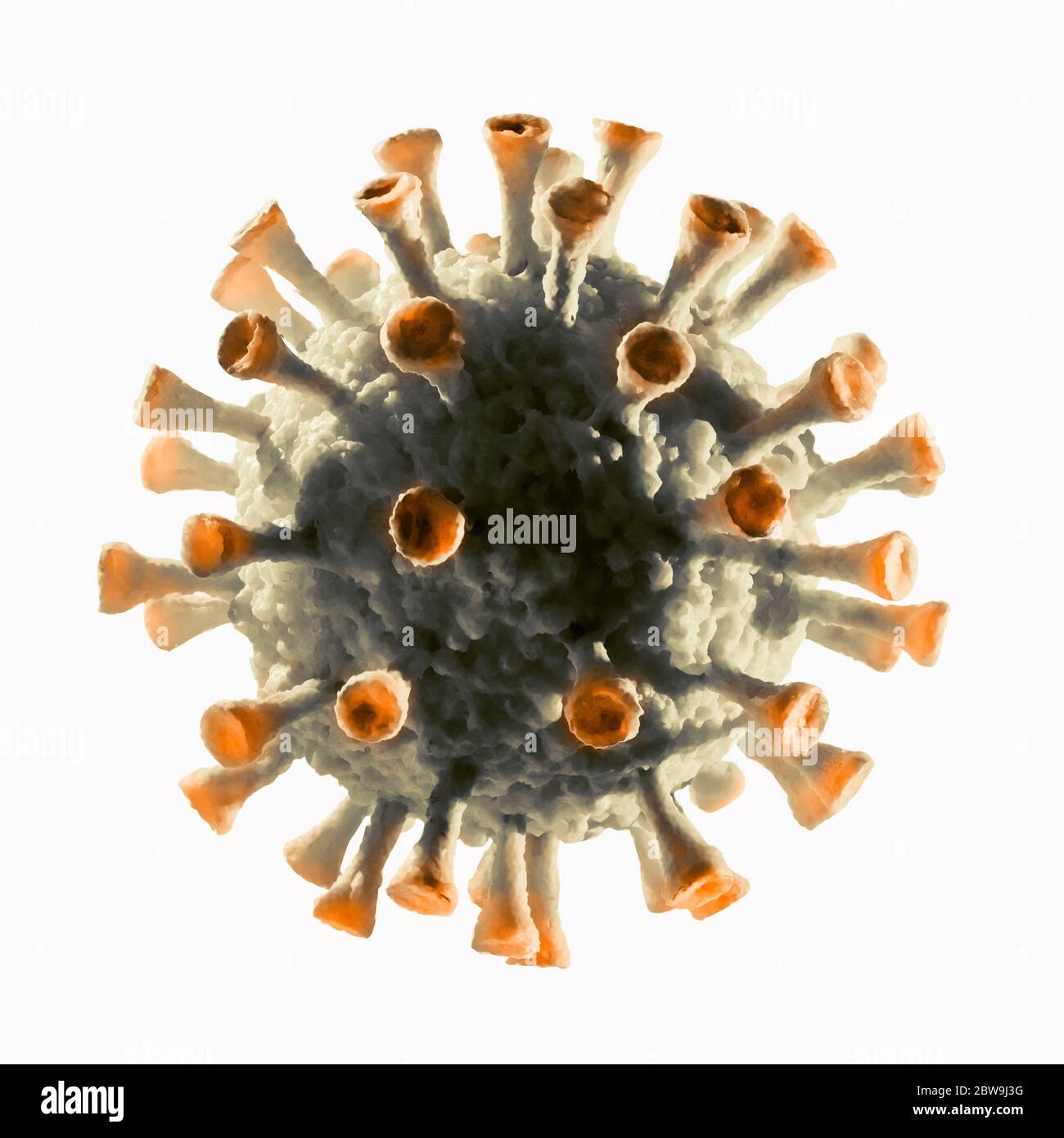 Modello di Coronavirus generato digitalmente su sfondo bianco Foto Stock