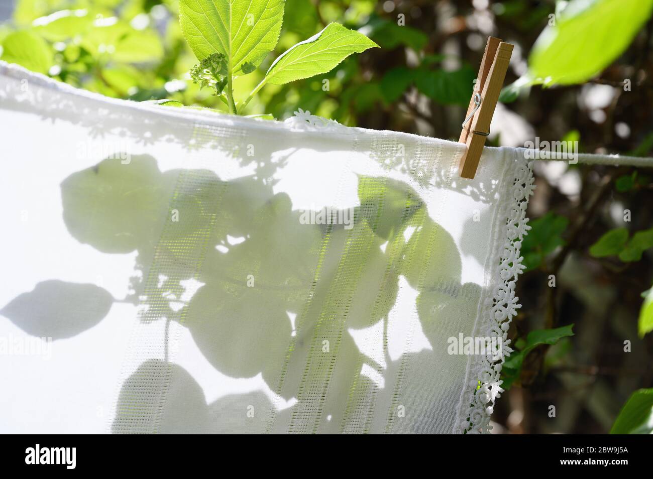Tovaglie bianche che asciugano sulla linea di stendibiancheria a foglie verdi Foto Stock