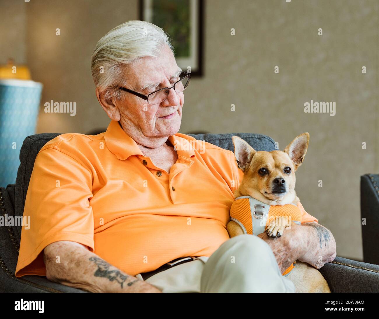 Uomo anziano che tiene il cane di servizio Foto Stock