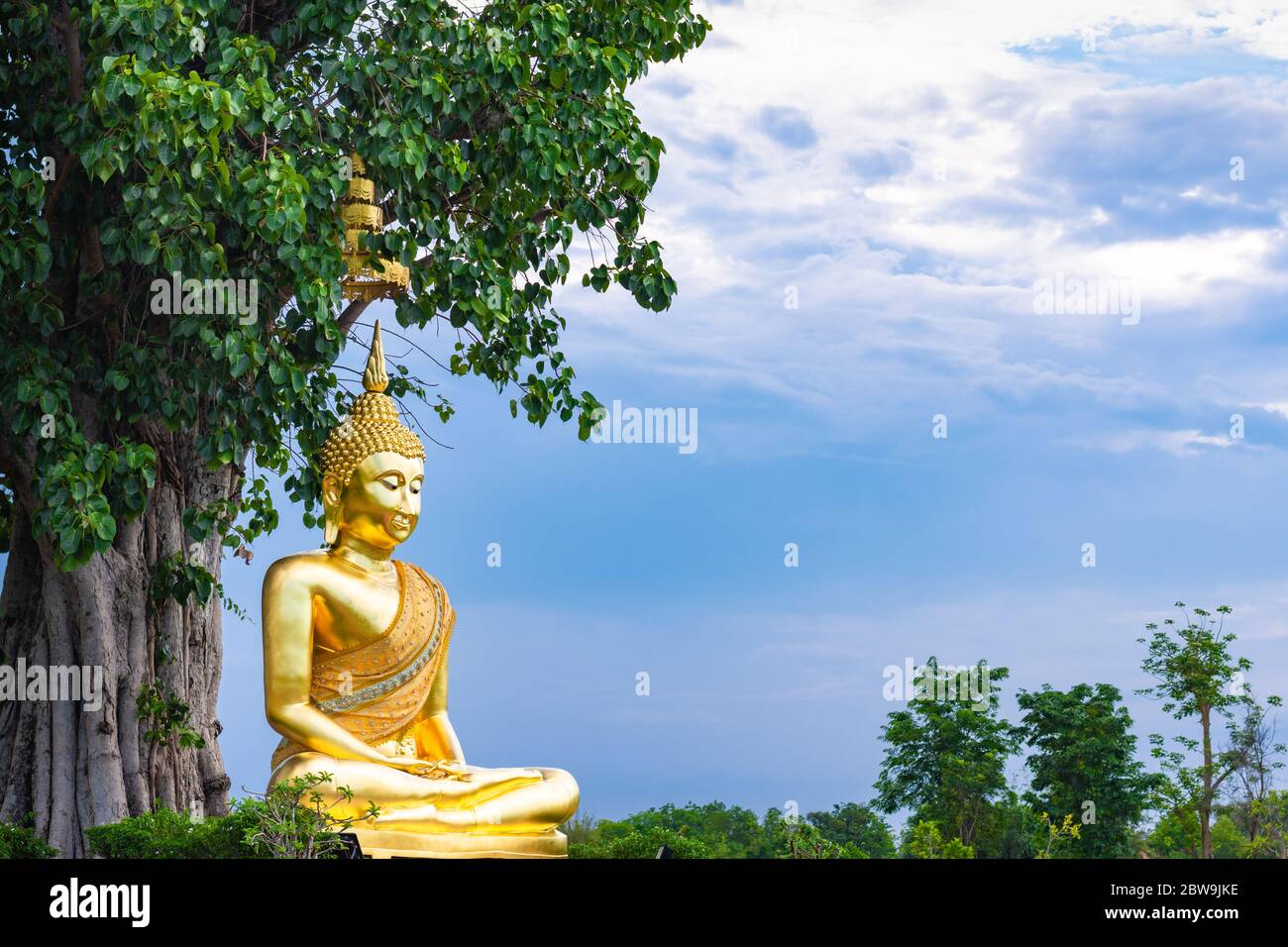 La statua dorata del buddha sotto il grande albero nel luogo pubblico della Thailandia. Foto Stock