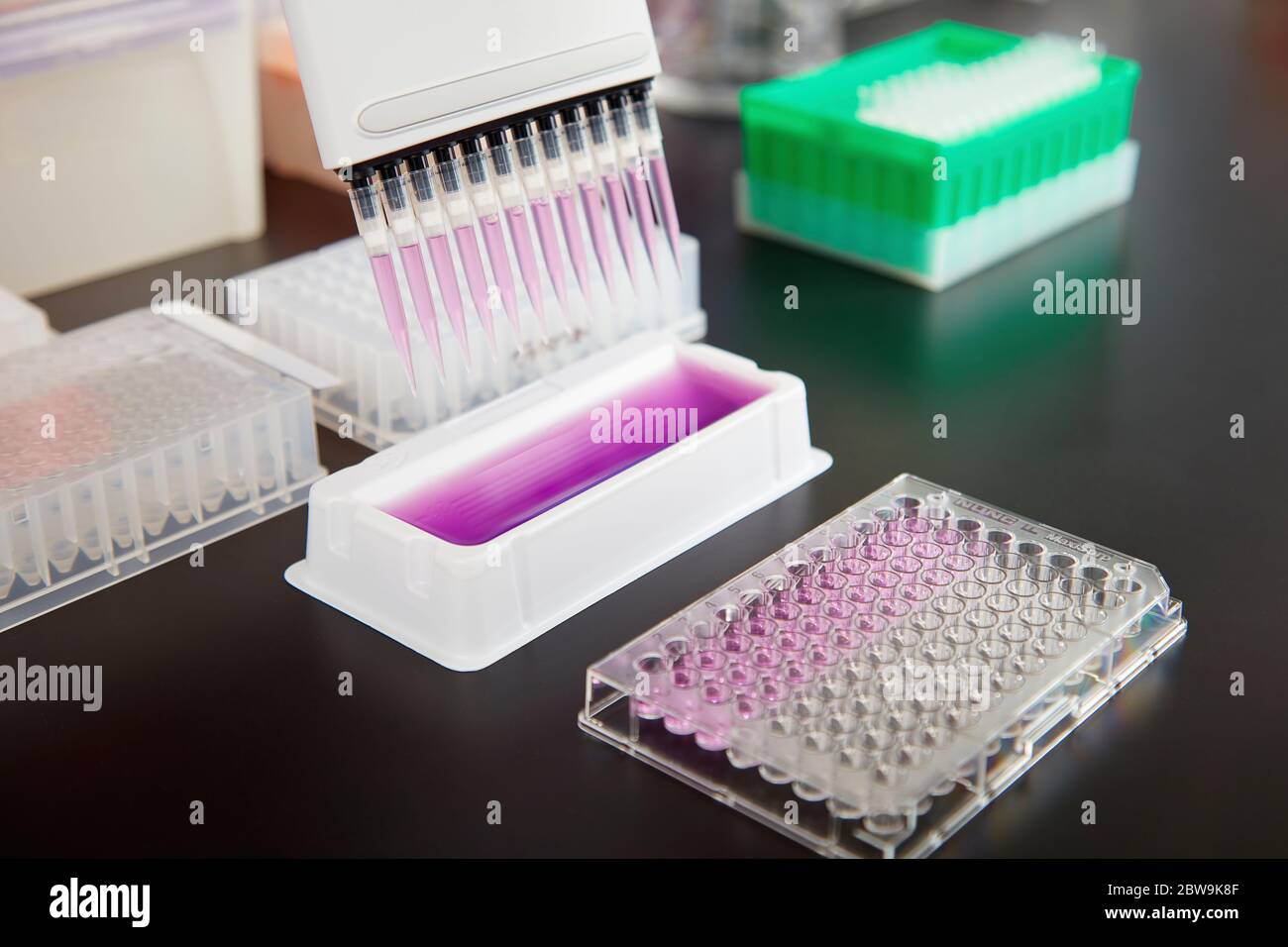 Vetreria di laboratorio su tavola Foto Stock