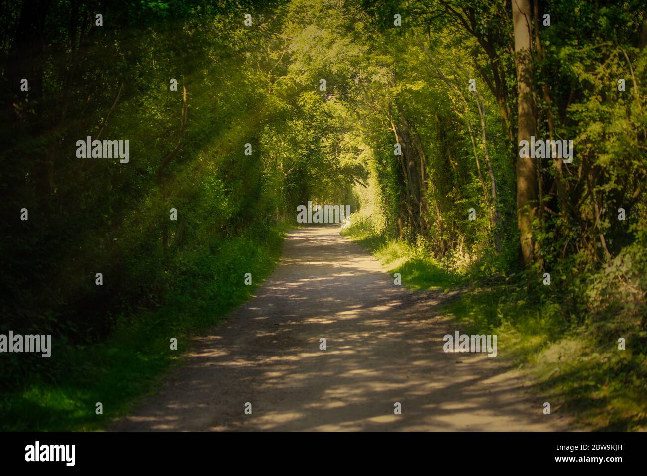 Camminata del paese Foto Stock