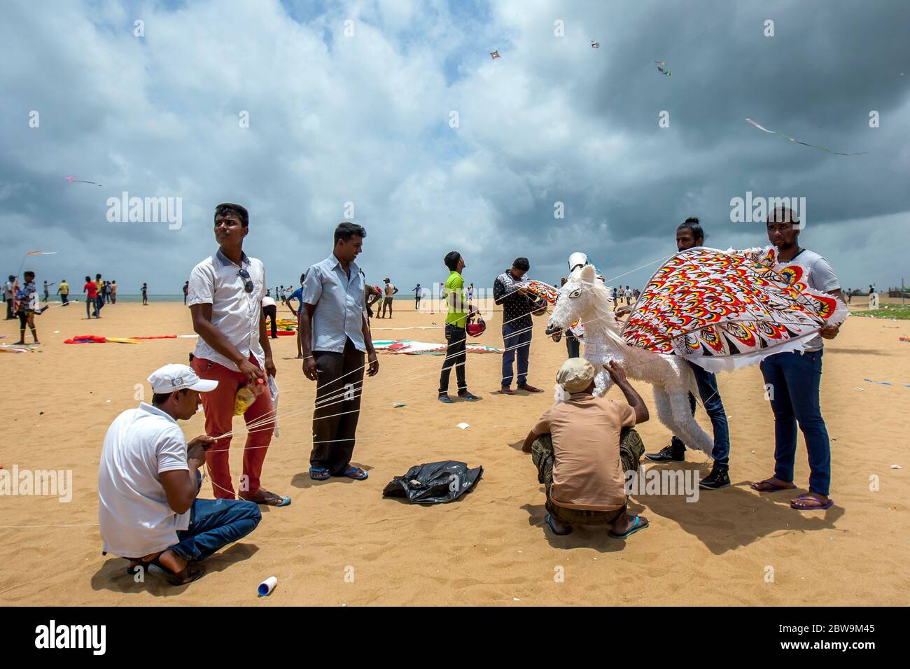 Un gruppo di uomini dello Sri Lanka prepara un kite da cavallo volante per il decollo dalla spiaggia di Negombo durante il festival annuale degli aquiloni in Sri Lanka. Foto Stock