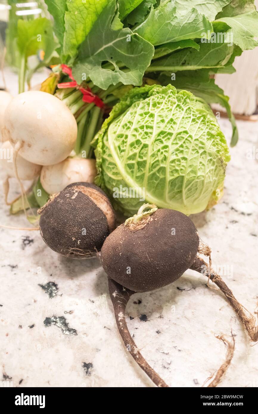 Verdure di raccolto invernale Foto Stock