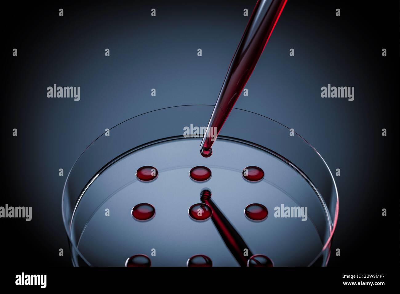 Campione di sangue testato in laboratorio su piastra Petri Foto Stock