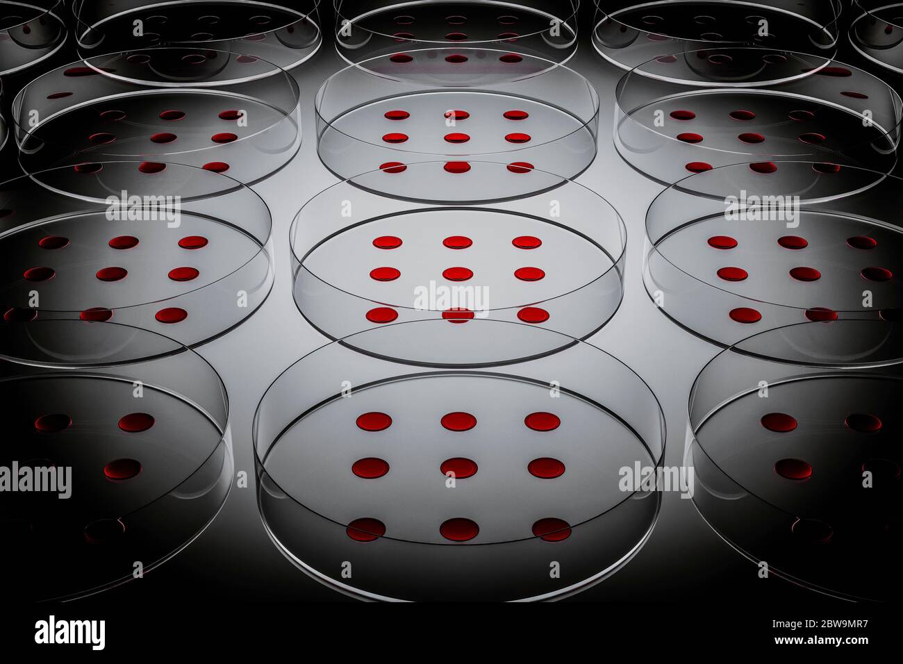 Campione di sangue testato in laboratorio su piastra Petri Foto Stock