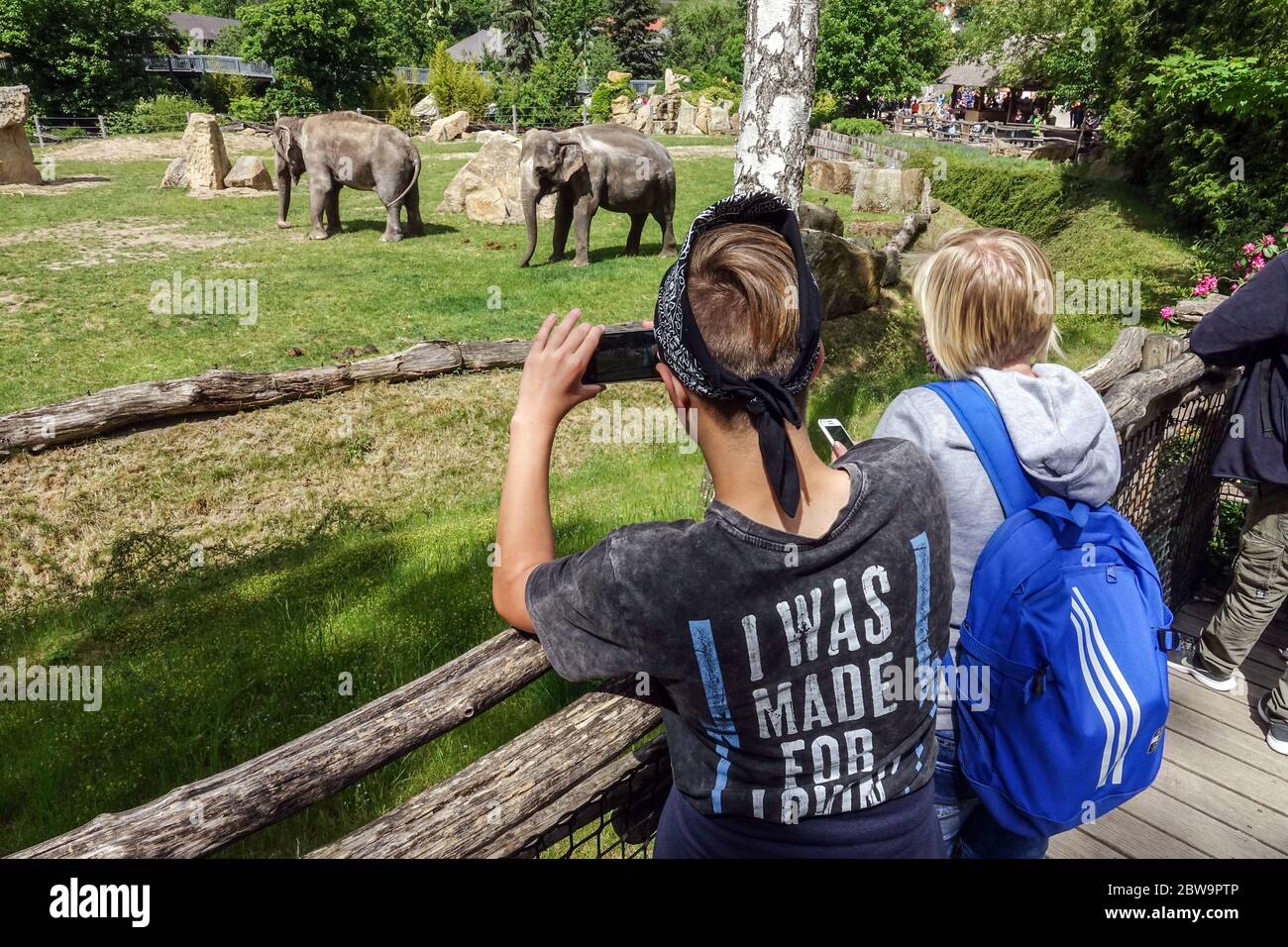 Persone e visitatori guardano gli elefanti allo zoo di Praga, un buon evento per una gita di un giorno per famiglie con bambini animali della Repubblica Ceca Foto Stock