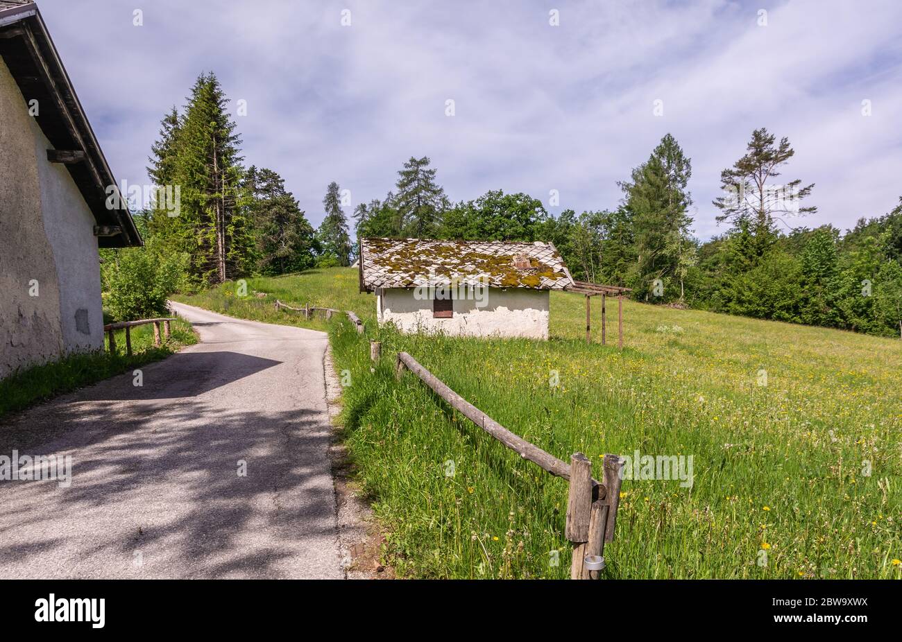Piccola casa in legno in una verde valle montana del Trentino Alto Adige, Italia settentrionale, Europa. Foto Stock