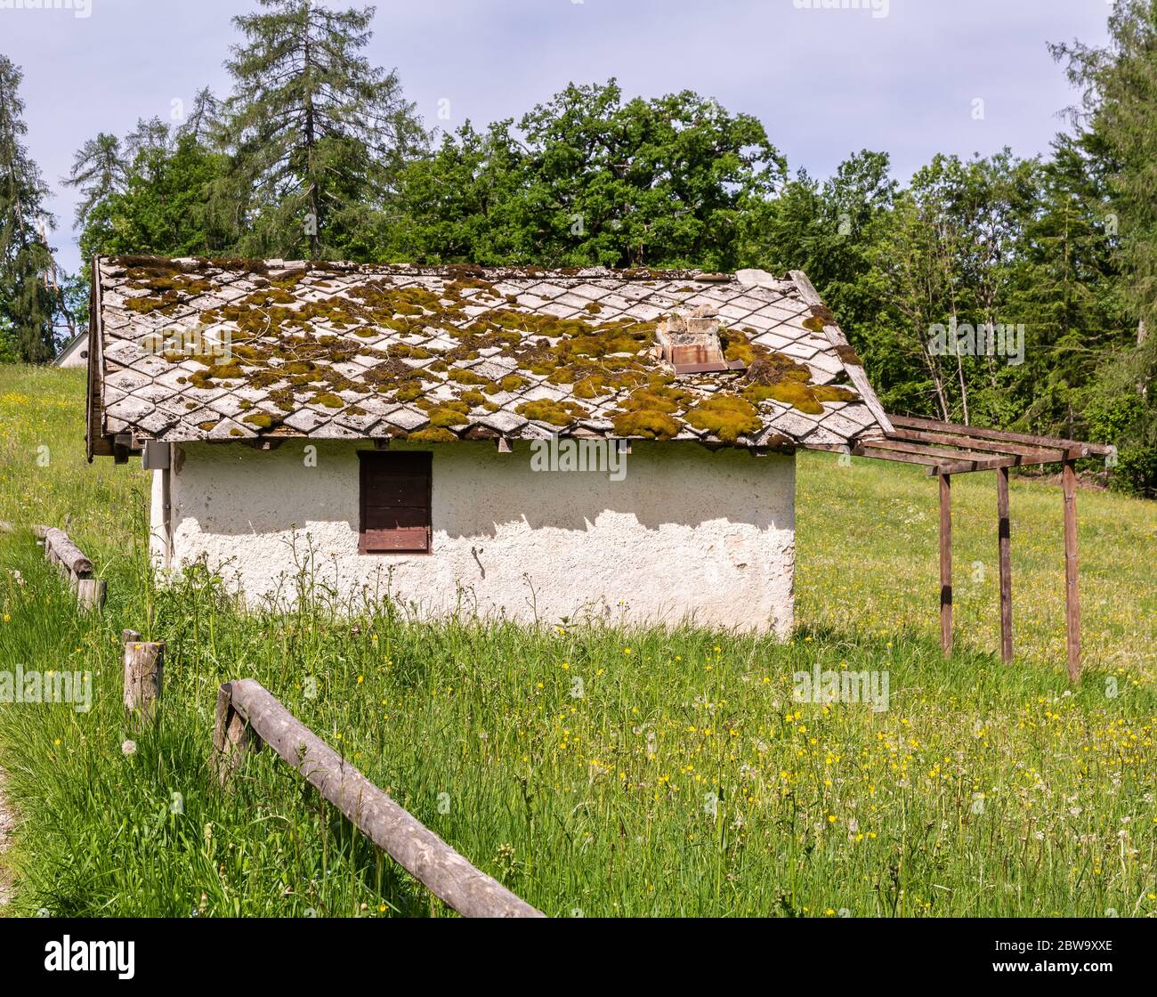 Piccola casa in legno in una verde valle montana del Trentino Alto Adige, Italia settentrionale, Europa. Foto Stock