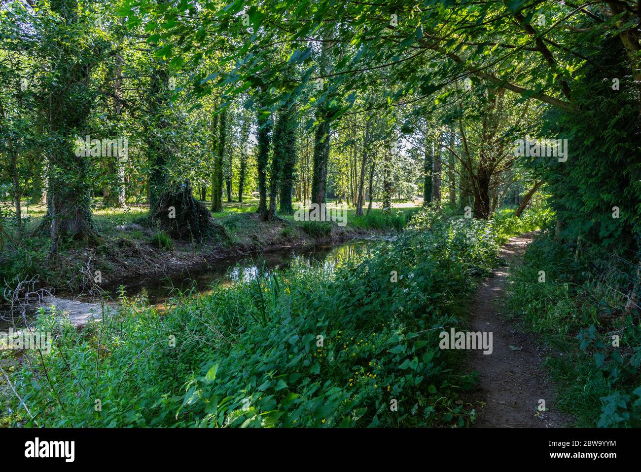 Una selezione di immagini da Walking the Thames Walk in the Cotswolds che si trova a 184 miglia dalla sorgente vicino Kemble al Finish in Londra Inghilterra Foto Stock