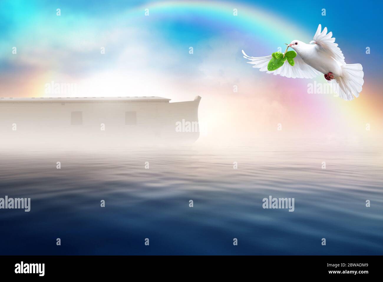 Colomba bianca che vola con foglia d'oliva nel suo becco. Concetto di tema della storia della bibbia dell'arca di Noè. Foto Stock