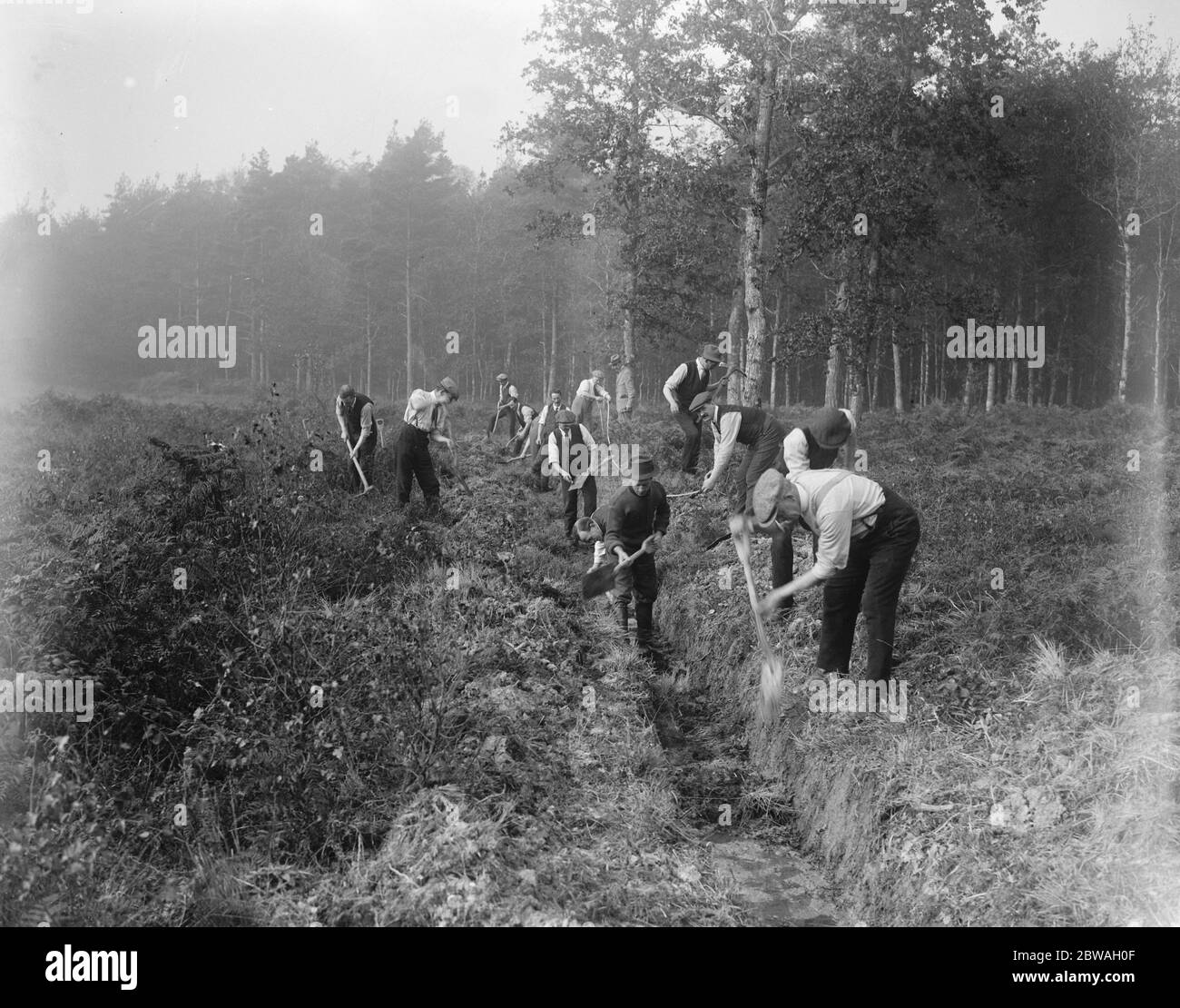 A Brockenhurst, nella New Forest , nell' Hampshire , la Scuola forestale per disabili ex-servitori della Commissione forestale. Apertura di beccheggio , preparatorio alle operazioni di piantatura . 7 novembre 1920 Foto Stock