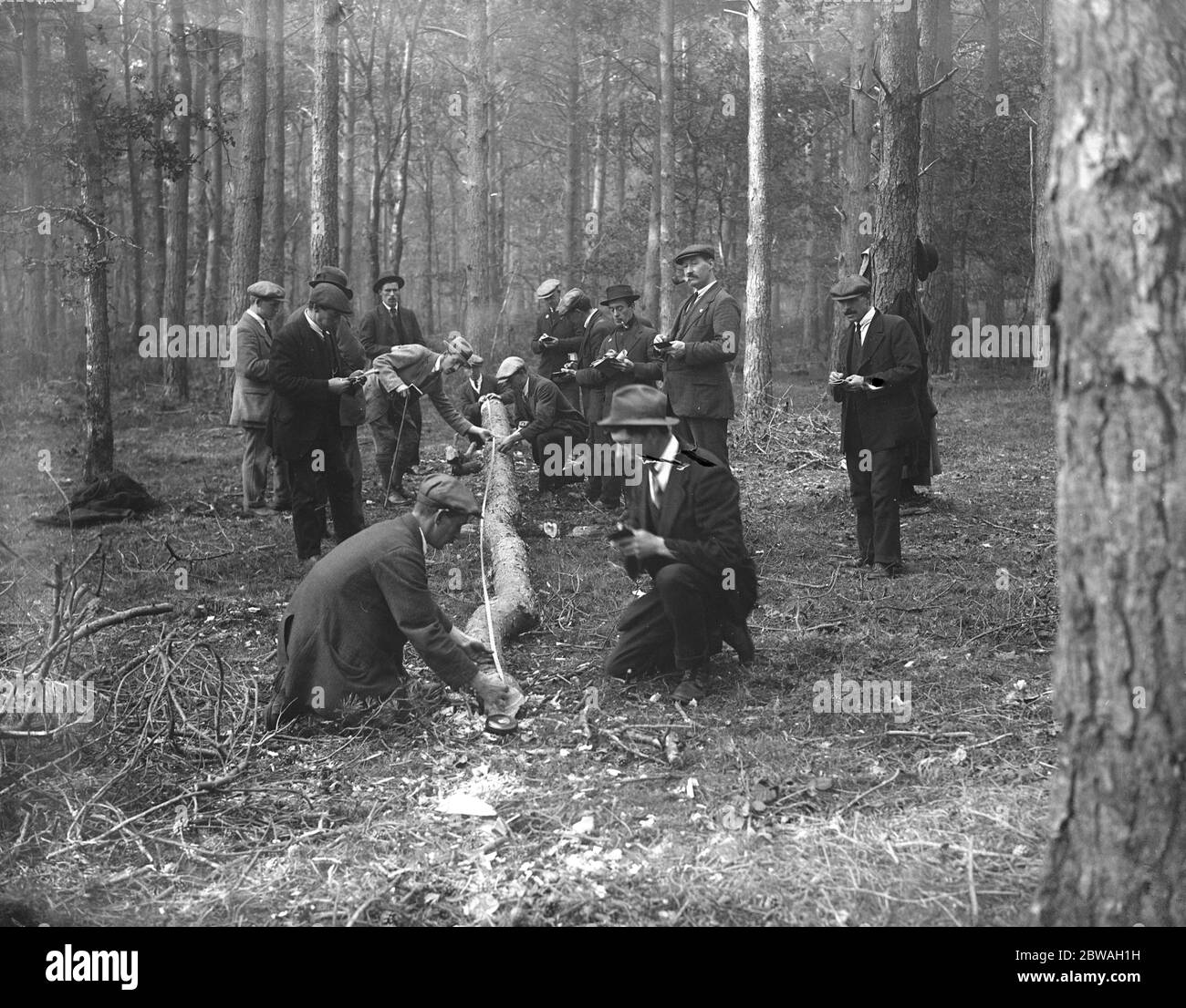 A Brockenhurst, nella New Forest , nell' Hampshire , la Scuola forestale per disabili ex-servitori della Commissione forestale. Una lezione sulla misurazione del legname . 7 novembre 1920 Foto Stock