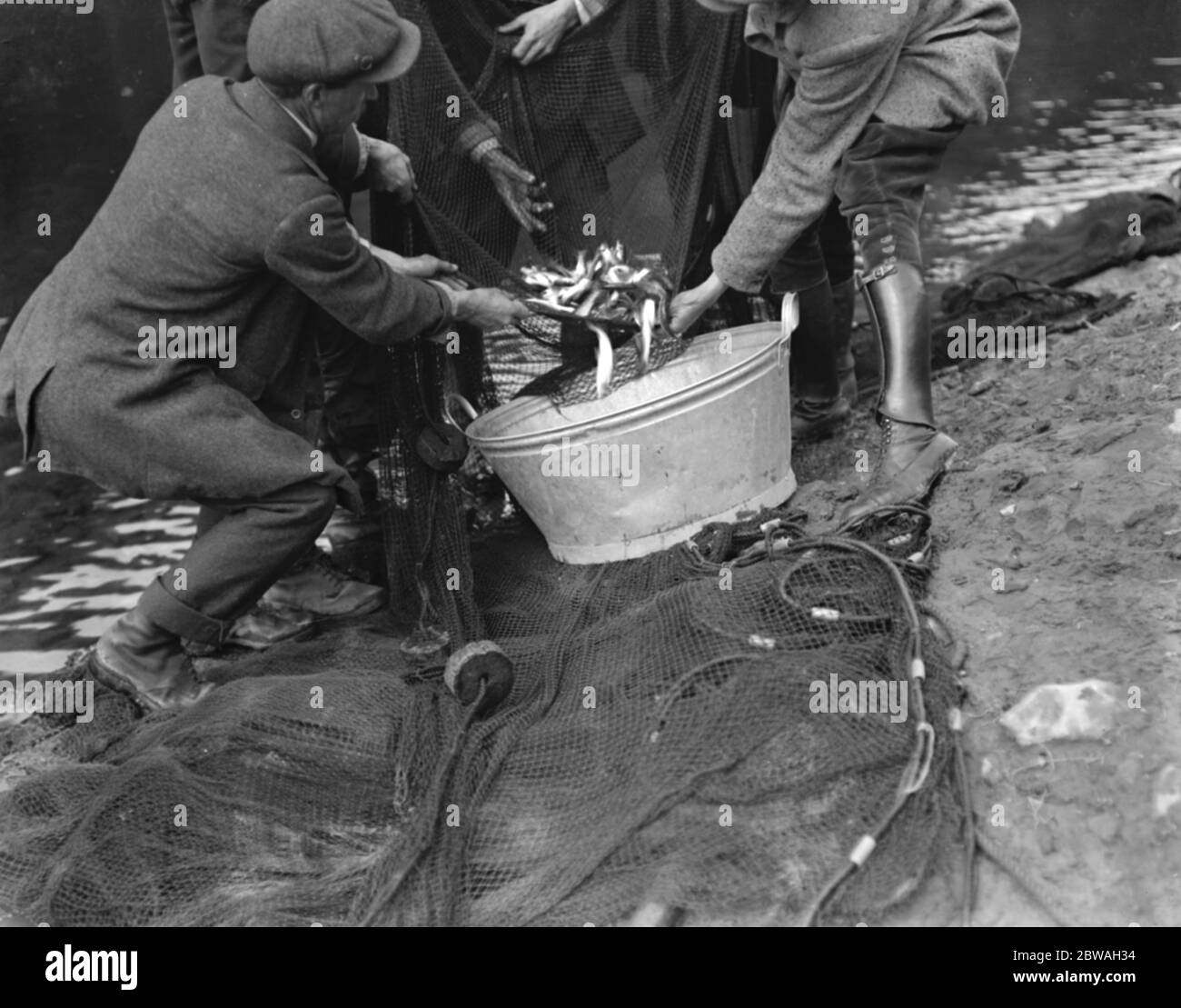 Netting salmoni salmoni sul fiume Wye Foto Stock