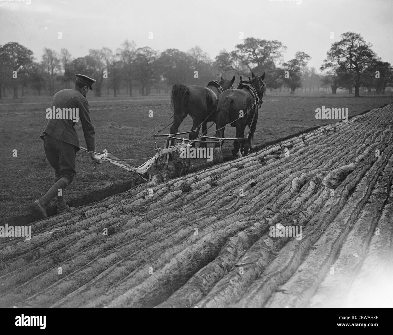 Militare disabile al servizio nazionale sulla tenuta del Duca di Westminster a Eaton Park , Chester 17 novembre 1917 Foto Stock