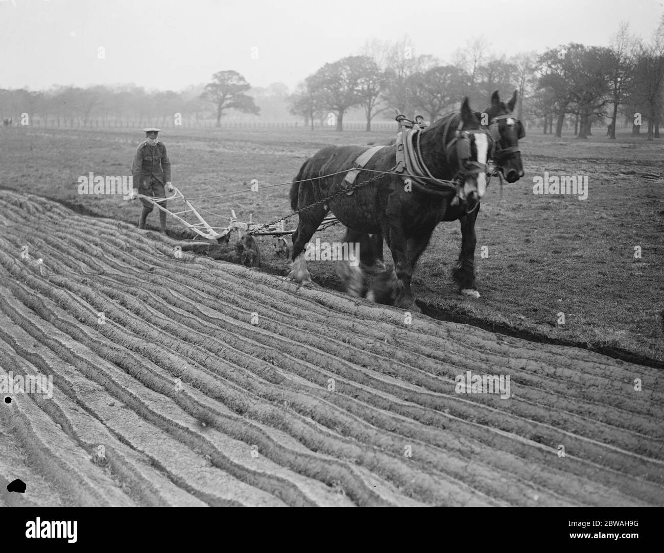 Militare disabile al servizio nazionale sulla tenuta del Duca di Westminster a Eaton Park , Chester 17 novembre 1917 Foto Stock
